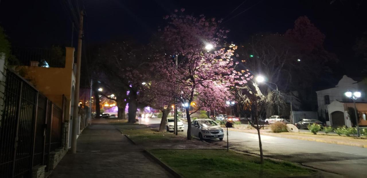 La Casa Del Paseo Apartman Salta Kültér fotó